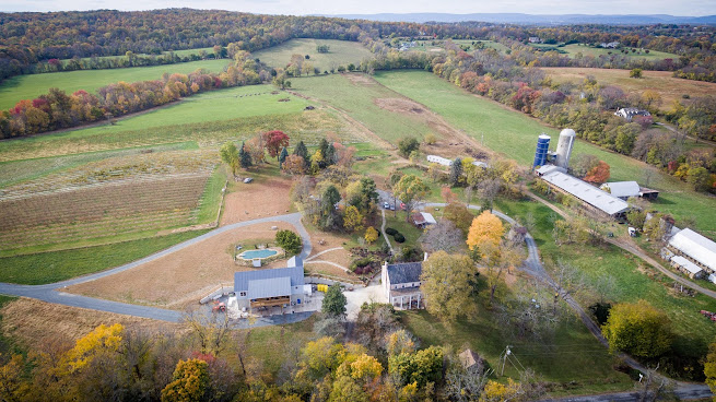 Zephaniah Farm Vineyard by null