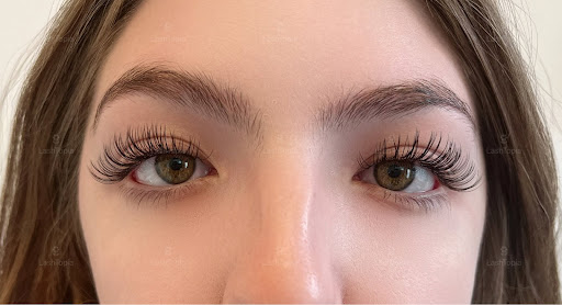 LashTopia - Visual