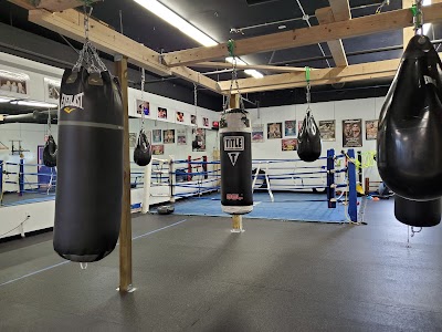 Manfredo Boxing Sports Fitness