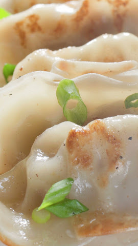 Brooklyn Dumpling Shop by null