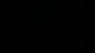 Photo n°2 de Club Bretagne Sécurité Signaleur Officiel Région Ouest à Priziac (Poste de secours)