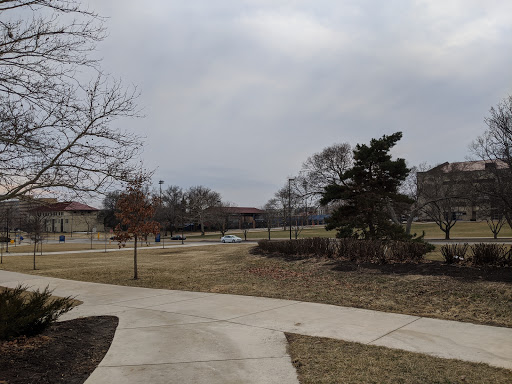 The University of Kansas School of Business - Thumbnail