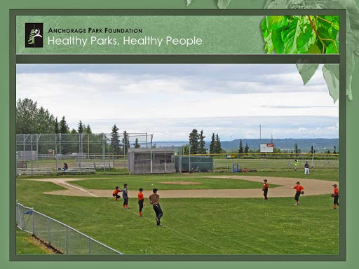 Abbott Loop Community Park - Visual