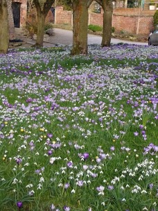 Fletcher Moss Park manchester