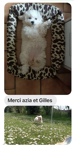 Photo de Yakari Services Animaux