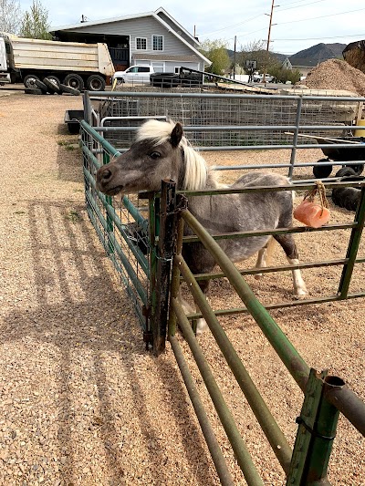 Rundown ranch kids farm