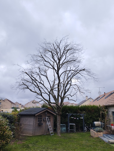 Photo de JARDINS DE FLORENCE à Chelles (77500)