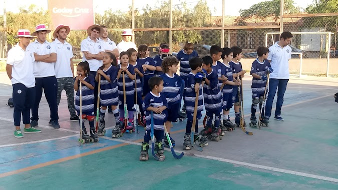 Centro Deportivo y Recreativo Gob. Santiago Felipe Llaver, Author: Rodolfo Amico