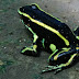 El Jardin Botanico Cartagena