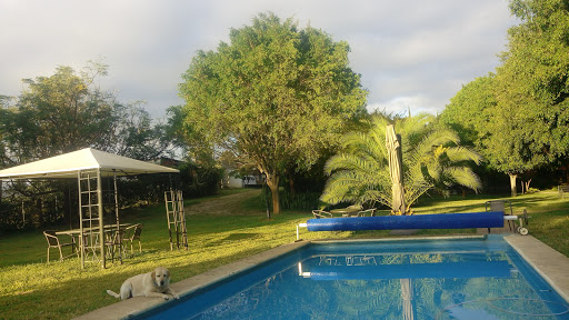 Quinta Tonalli - Thumbnail