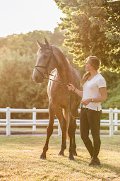 Photo n°12 de Haras de Villers - Commerce - Pensions de Chevaux - Compétition - Coaching à Erquery (Éleveur de chevaux)