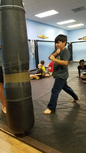 Gracie Clearwater Brazilian Jiu Jitsu, Mixed Martial Arts and Fitness - Thumbnail