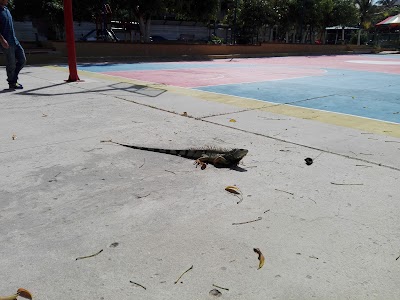 Photos of Venezuela Park