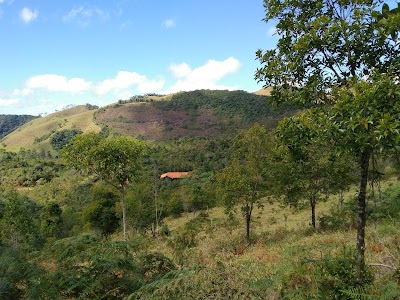 Photos of Funda&ccedil;&atilde;o Caminho dos Ip&ecirc;s