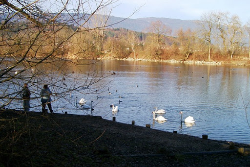 Seeland Camp Campingplatz - Thumbnail