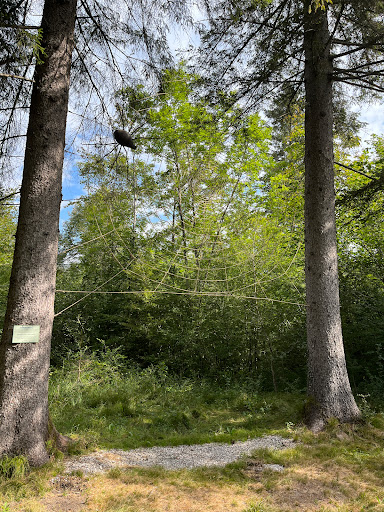 Sentiero naturalistico della rimonta - Thumbnail