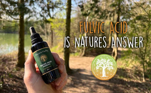 Ancient Purity - Visual