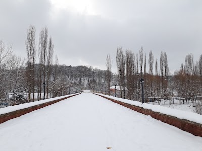 Photos of Nizami Park