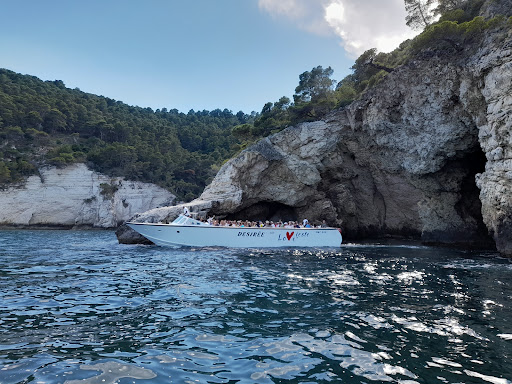 Effettigargano