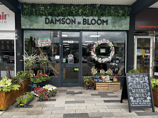 DAMSON IN BLOOM LTD - Thumbnail