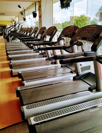 Elite Fitness Puebla - Thumbnail