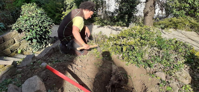 Alle
