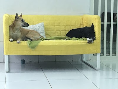 point-of-interest