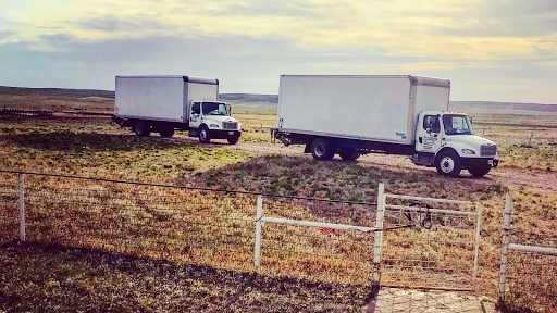 Byco Moving - Visual