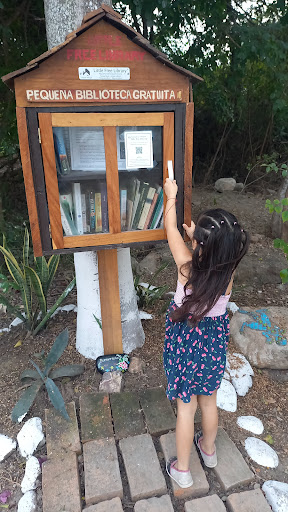 Little Free Library Guayabitos / Pequeña biblioteca gratuita - Thumbnail