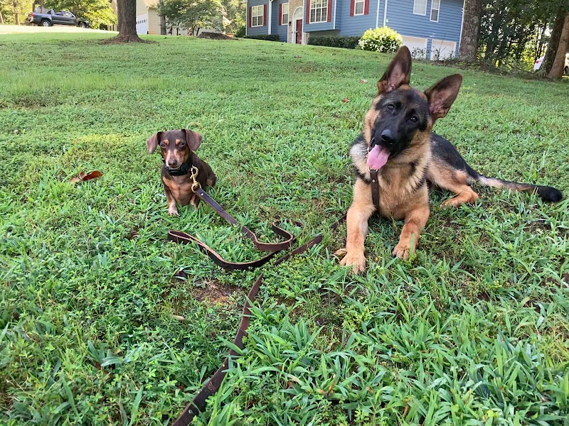 RK K9s photo