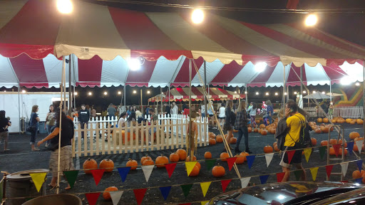 The Pumpkin Patch - Visual