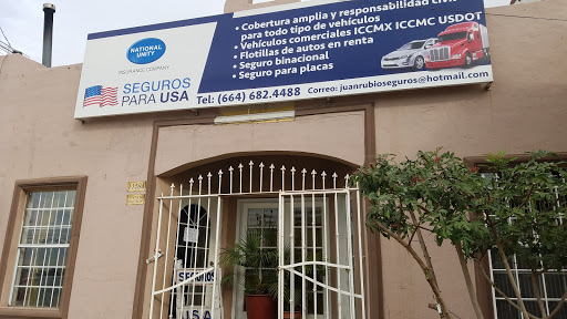 Mex-America Insurance