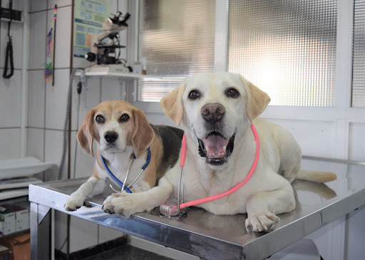 Clínica Veterinaria Escaleritas