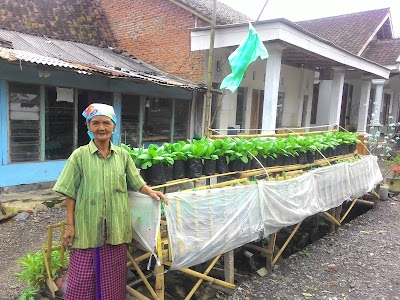 Photos of Agrilands Bondowoso