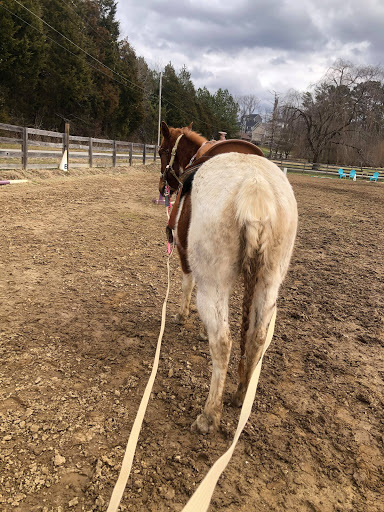 KO Stables - Visual
