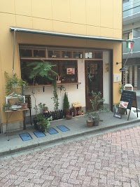 リクレアツィオーネ シマ