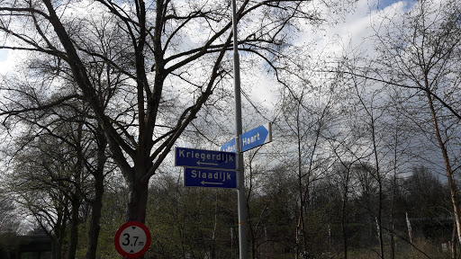 DE BREE GARDENS - Hoveniersbedrijf & Tuincentrum Aalten - Thumbnail