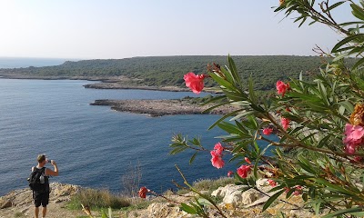 Photos of Villa Carola