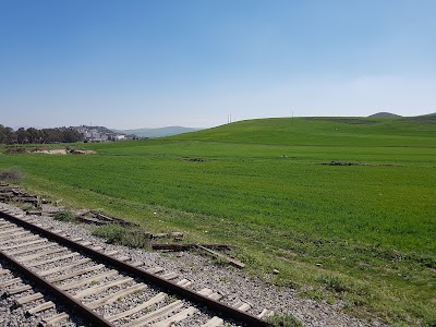 Photos of Tarekmeziti
