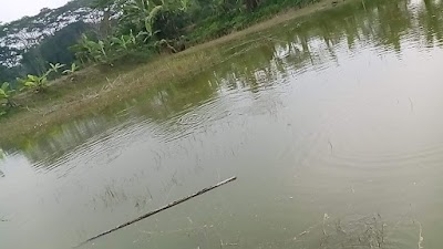 Photos of Choto Rajpara Jame Mosjid