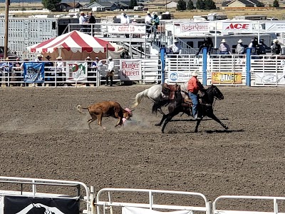 Lake County Fairgrounds