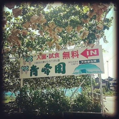 天神塚古墳(青峰園)