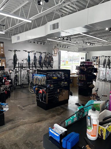 Ham Cycles - Visual