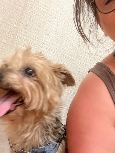 Baldwin & Crosstown Animal Clinic - Thumbnail