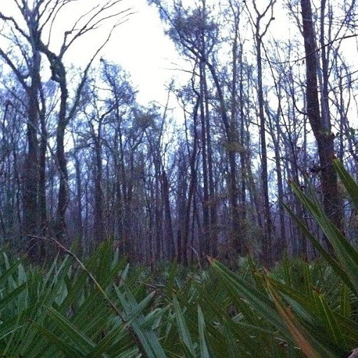 Thistlethwaite State Wildlife Management Area