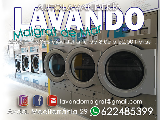 LAVANDO Malgrat - Visual