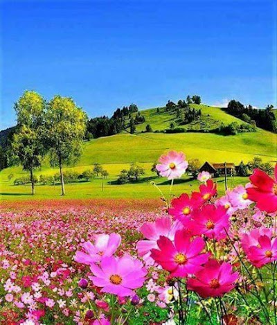 Photos of Murat Application Farm