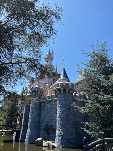 Pixie Hollow