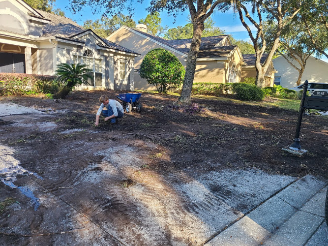 Tarpon Lawn & Pest