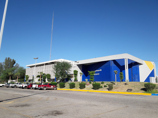Bienestar Social Municipal (BISOM)